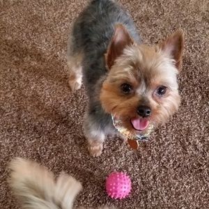 Meet your Posher, Judy